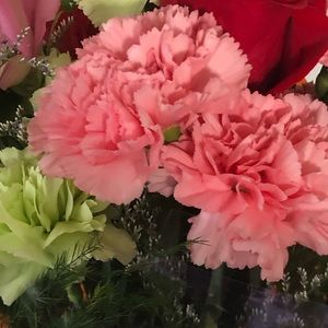 Meet your Posher, Olivia